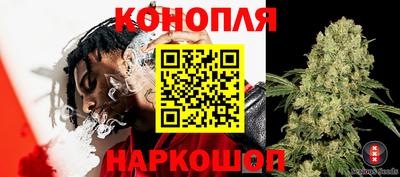 ECSTASY Дмитров