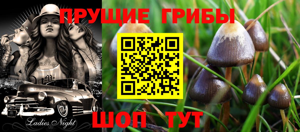 Псилоцибиновые грибы мицелий  Вход с VPN  Балашиха  Псилоцибиновые грибы прущие грибы 