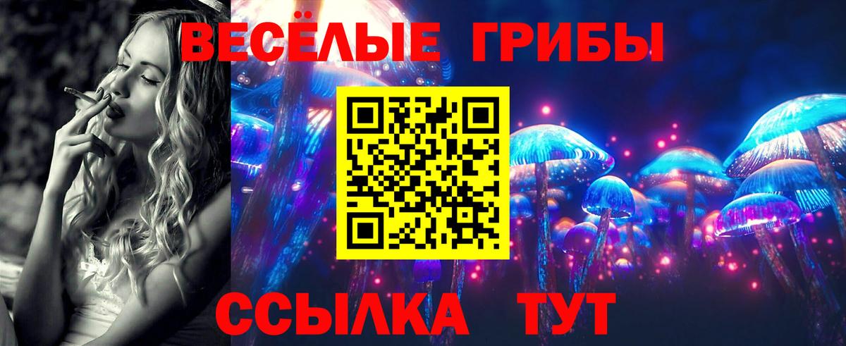 Галлюциногенные грибы MAGIC MUSHROOMS Балашиха